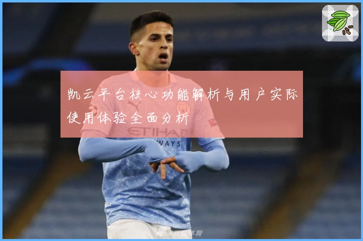 凯云平台核心功能解析与用户实际使用体验全面分析
